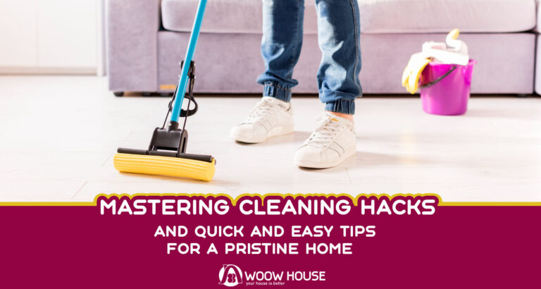 Mastering Cleaning Hacks And Quick and Easy Tips for a Pristine Home
