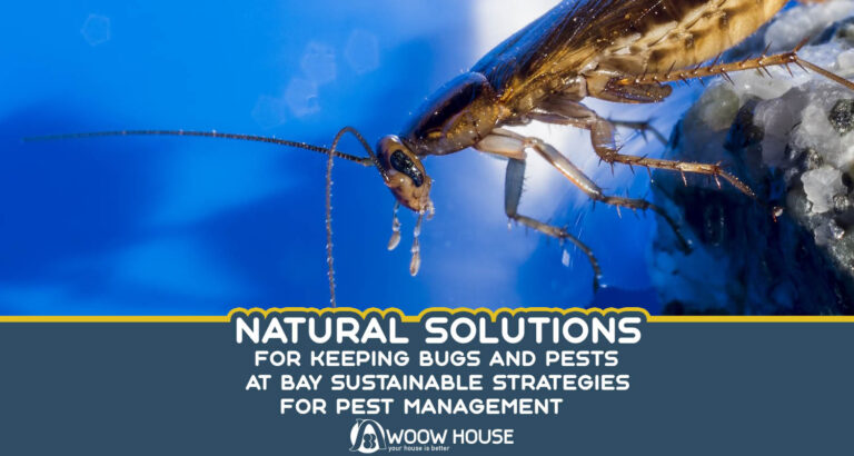 Natural Solutions for Keeping Bugs and Pests at Bay And Sustainable Strategies for Pest Management