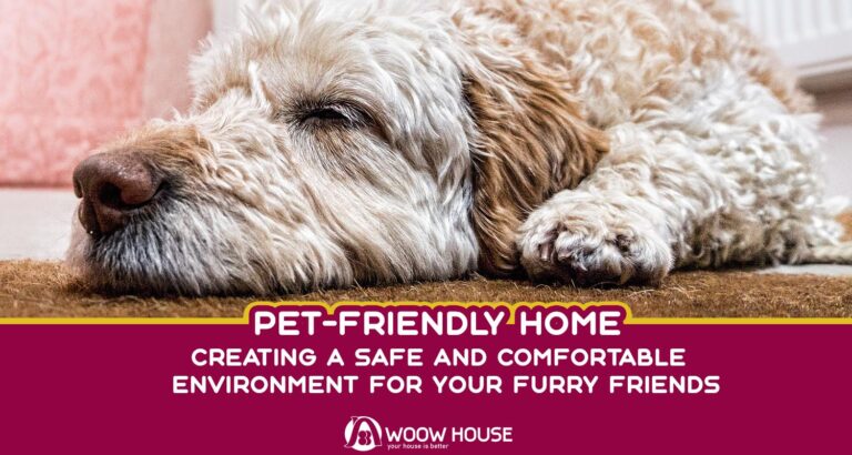Pet-Friendly Home, Creating a Safe and Comfortable Environment for Your Furry Friends